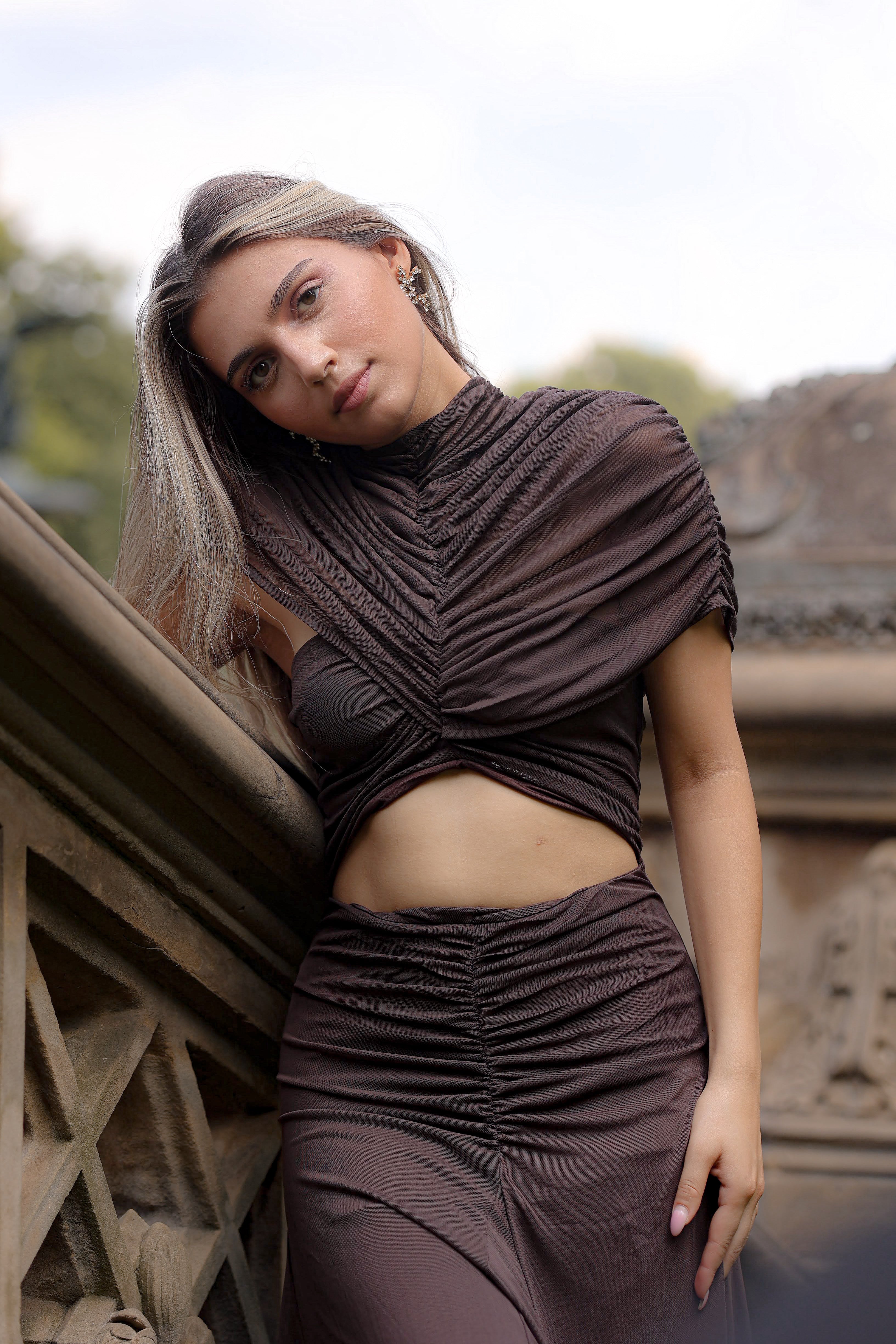 Audrey Dress Espresso